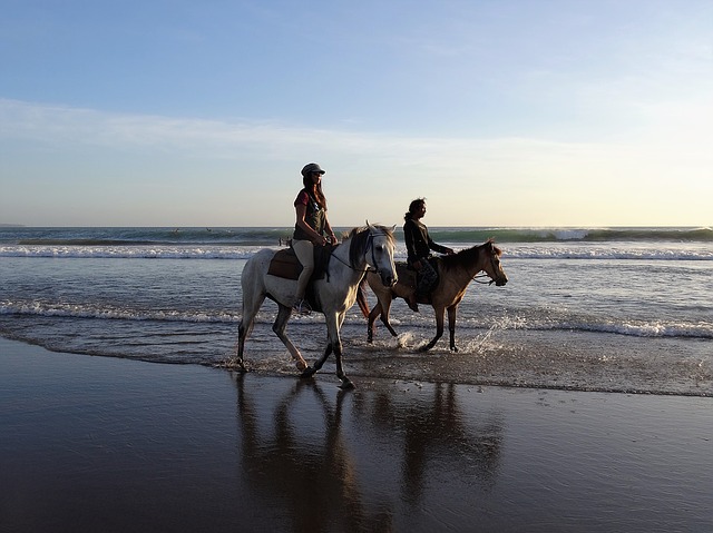 two people on horses at the beach, west coast
